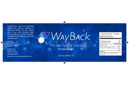 WayBack Water - Case of 24 Bottles (16.9 oz each)