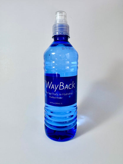 WayBack Water - Case of 24 Bottles (16.9 oz each)