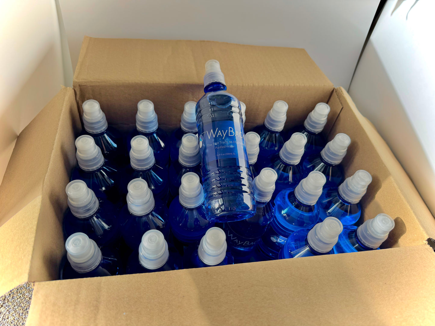 WayBack Water - Case of 24 Bottles (16.9 oz each)